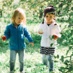 PS_Apples